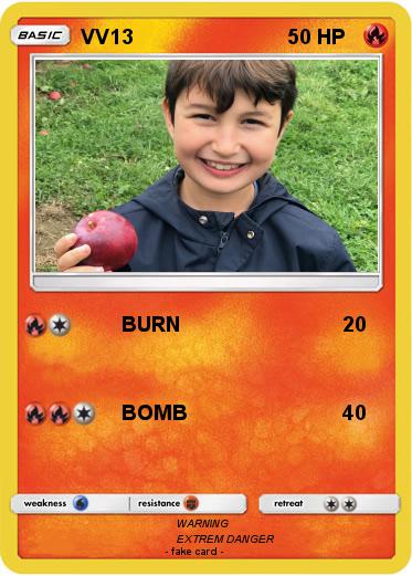 Pokemon VV13