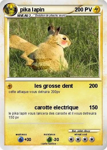 Pokemon pika lapin