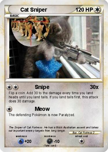 Pokemon Cat Sniper