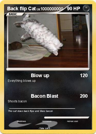 Pokemon Back flip Cat