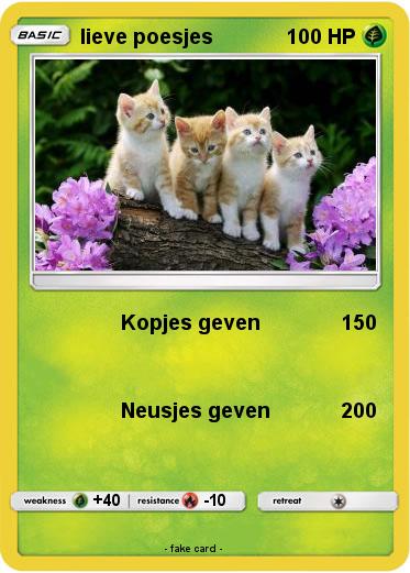 Pokemon lieve poesjes