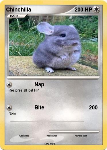Pokemon Chinchilla