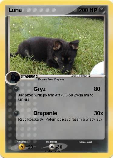 Pokemon Luna