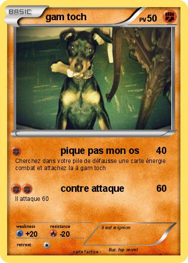 Pokemon gam toch