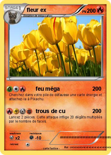 Pokemon fleur ex