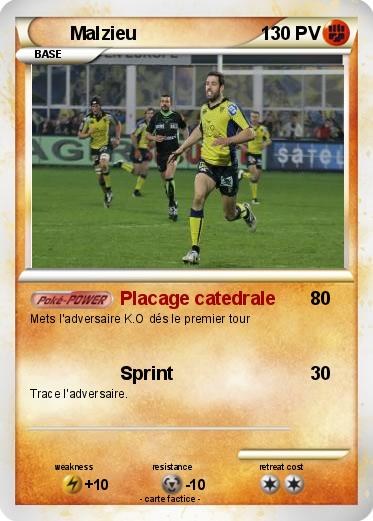 Pokemon Malzieu