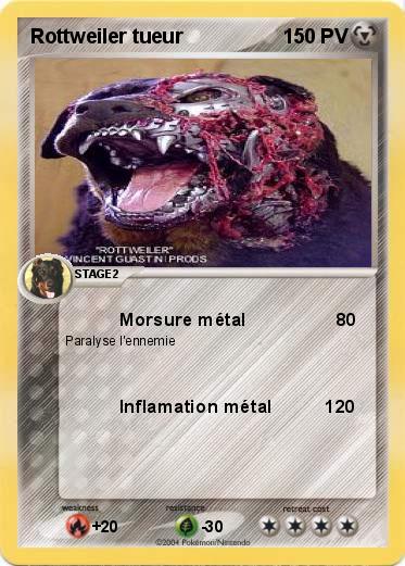 Pokemon Rottweiler tueur   