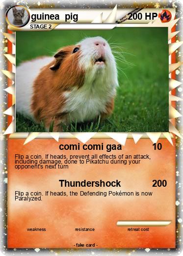 Pokemon guinea  pig