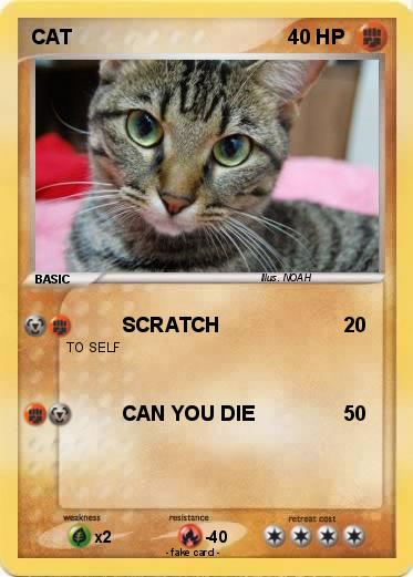 Pokemon CAT