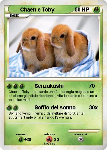 Pokemon Chaen e Toby