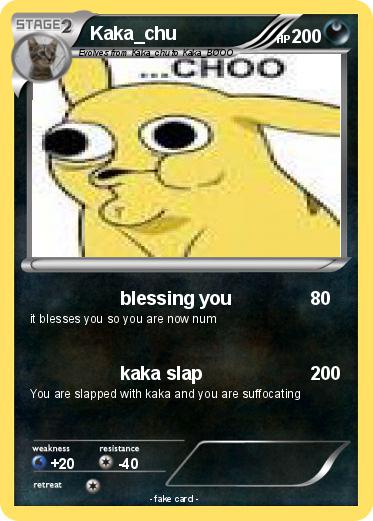 Pokemon Kaka_chu