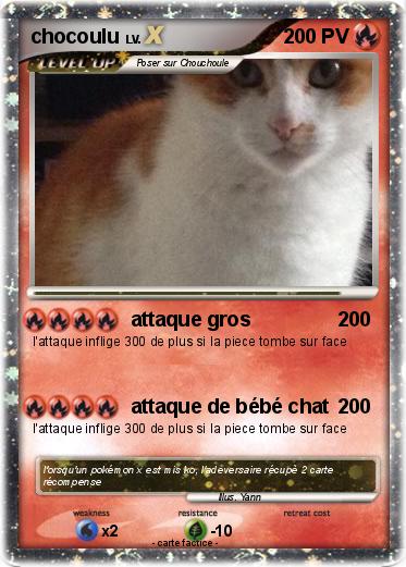 Pokemon chocoulu