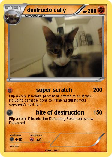 Pokemon destructo cally