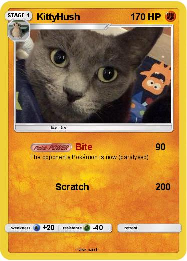 Pokemon KittyHush