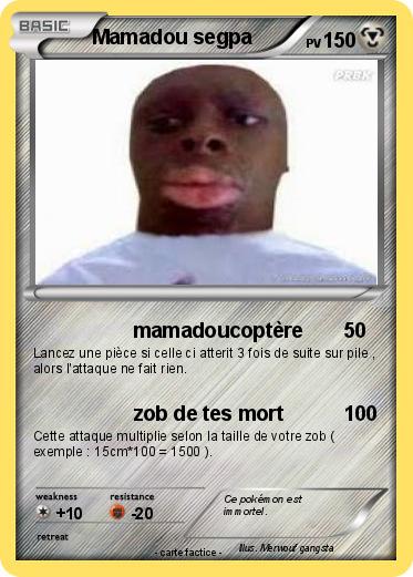 Pokemon Mamadou segpa