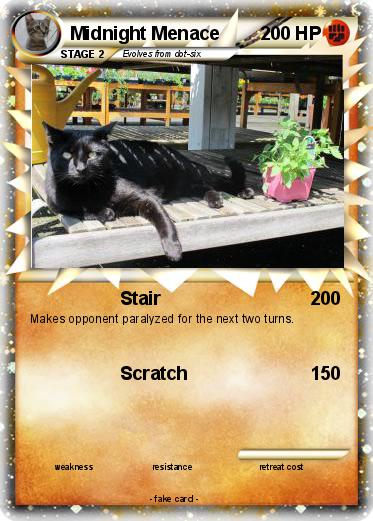 Pokemon Midnight Menace