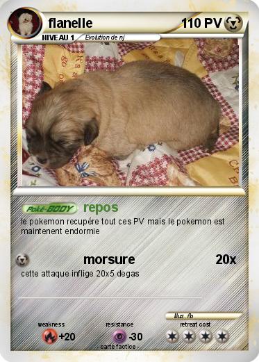 Pokemon flanelle