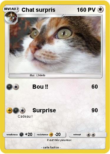 Pokemon Chat surpris