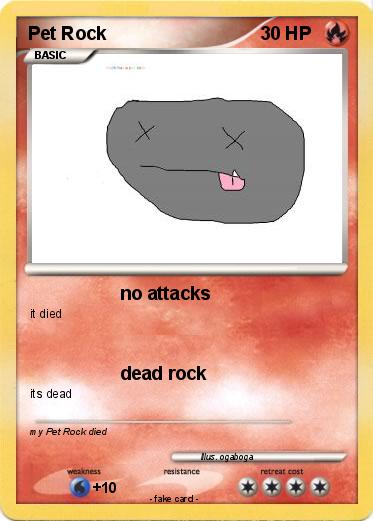 Pokemon Pet Rock