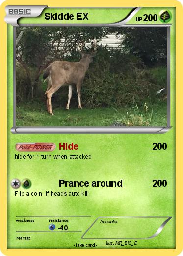 Pokemon Skidde EX