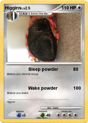Pokemon Higgins
