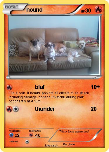 Pokemon hound