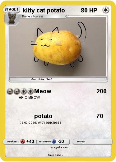 Pokemon kitty cat potato