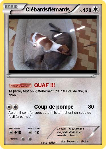Pokemon Clébardsflémards