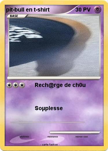 Pokemon pit-bull en t-shirt