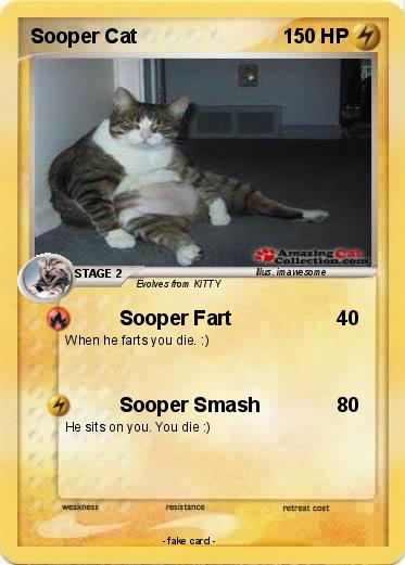 Pokemon Sooper Cat