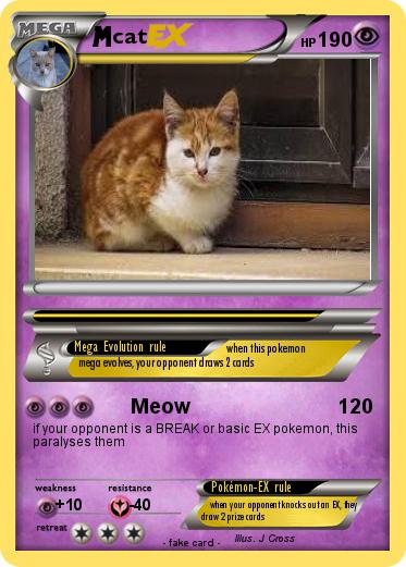Pokemon cat