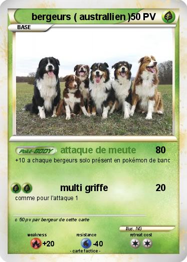 Pokemon bergeurs ( australlien )
