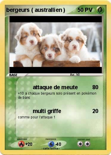 Pokemon bergeurs ( australlien )