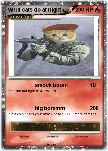 Pokemon whut cats do at night