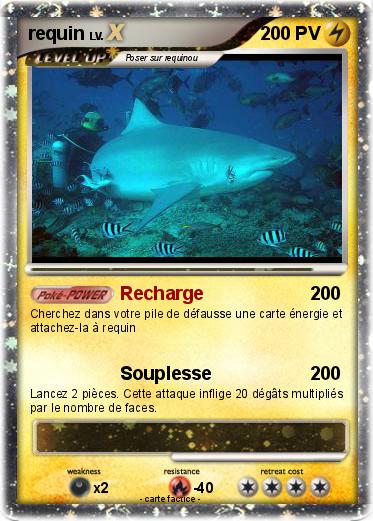 Pokemon requin
