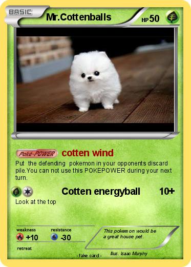 Pokemon Mr.Cottenballs