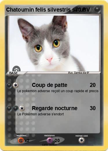 Pokemon Chatoumin felis silvestris satus