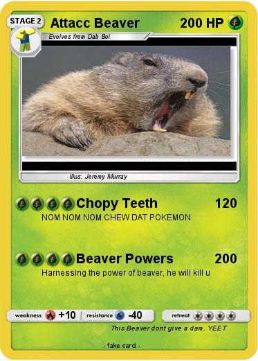 Pokemon Attacc Beaver
