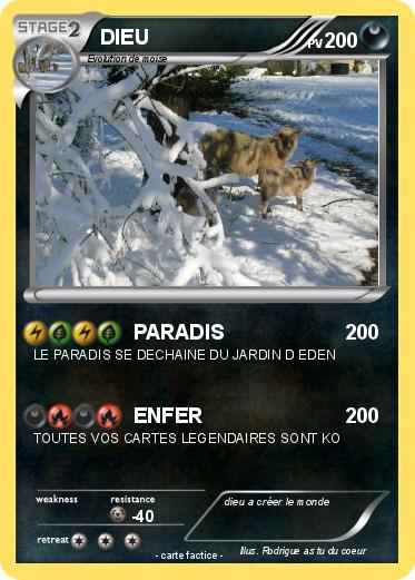 Pokemon DIEU