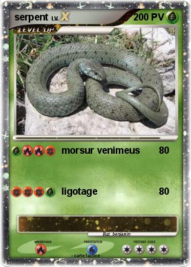 Pokemon serpent