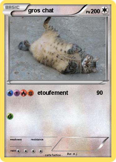 Pokemon gros chat