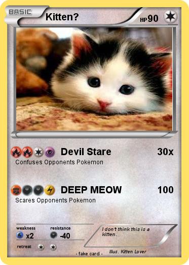 Pokemon Kitten?