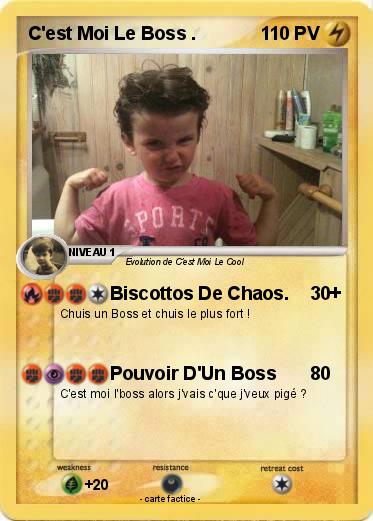 Pokemon C'est Moi Le Boss .
