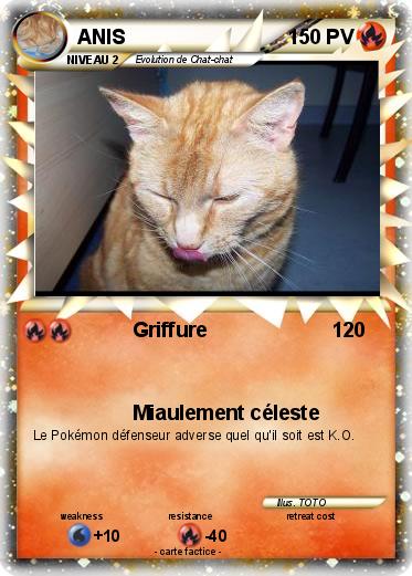 Pokemon ANIS