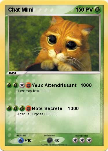 Pokemon Chat Mimi