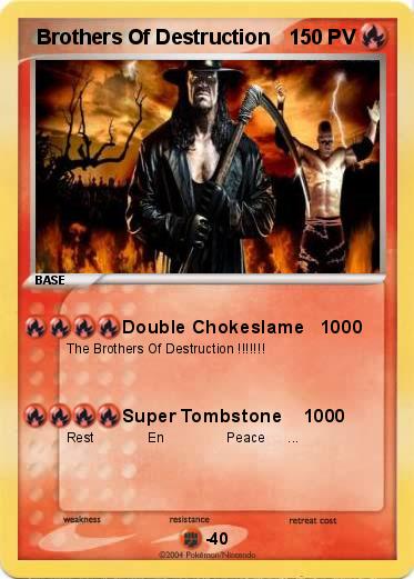 Pokemon  Brothers Of Destruction