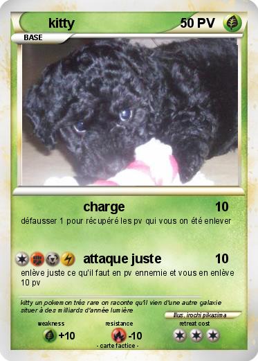 Pokemon kitty