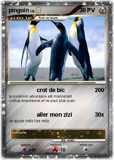 Pokemon pingoin