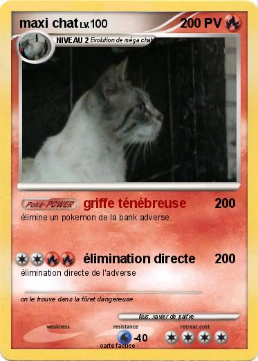 Pokemon maxi chat