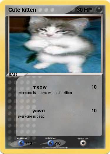 Pokemon Cute kitten